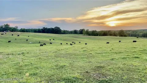 Fenced Cattle Farm With Ponds
