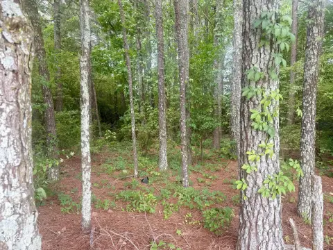 Wooded Lot in Dunn, NC