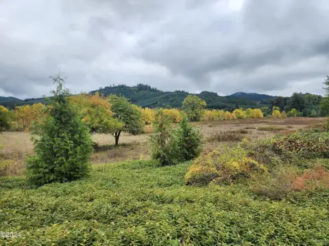 Alsea, Oregon Residential Farmland