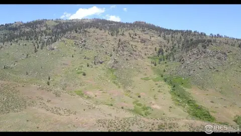 119 Acres of Natural Beauty
