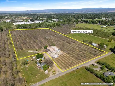 Producing Walnut Orchard Near Town