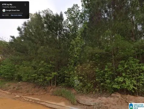 Residential Lot in Trussville, AL