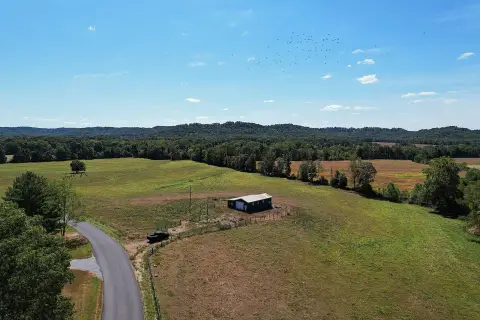 Working Cattle and Hunting Land