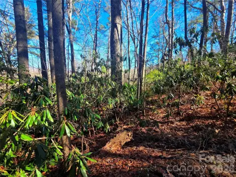 Mountain Homesite in Rivers Edge