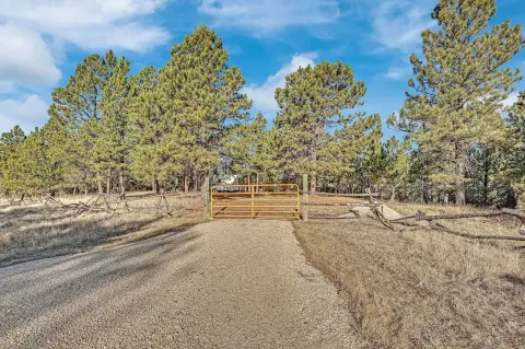 Custer Acreage Bordering USFS