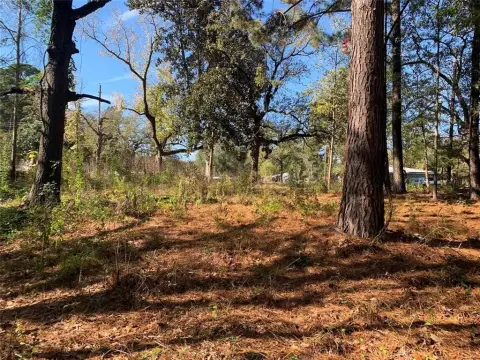 Wooded Lot in Athens, TX