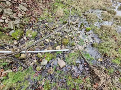 38 Acres of Farmland