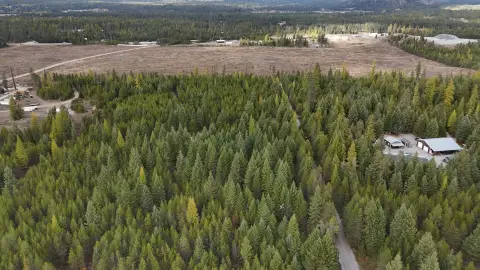 Newport Land Bordering Timberland