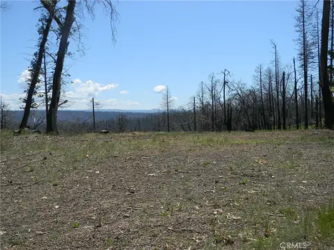 Chico Land Ready-to-Build Opportunity