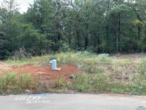 Residential Lot in Lindale, Texas