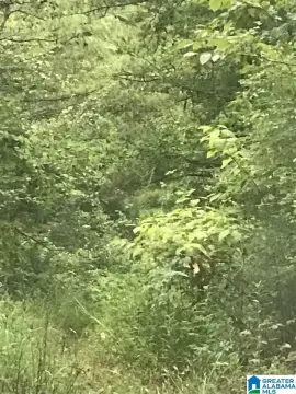 Land For Sale - ALPINE