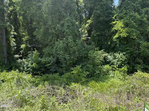 Wooded Lot in Durham, NC