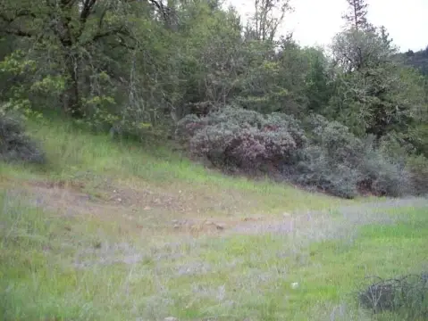 Land Near Rogue River