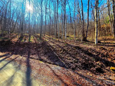 Waynesville Land Below Tax Value