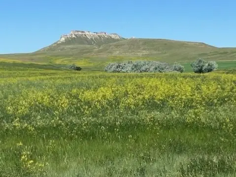 Agricultural Land for Horses and Hay