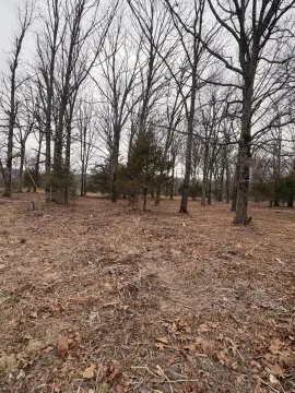 Two Acres Near Rogersville