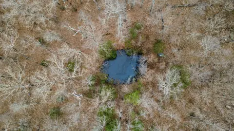 5-Acre Land with Pond