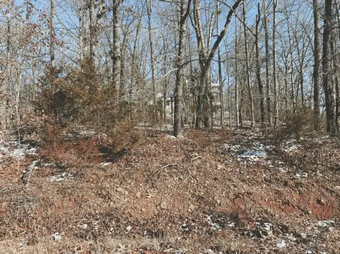 West Plains Land For Sale