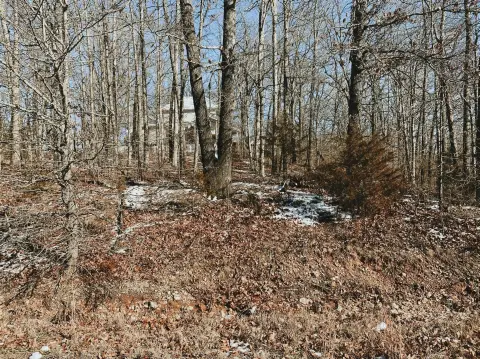 West Plains Land For Sale