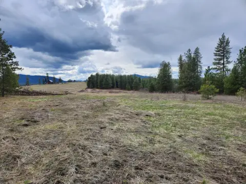 Valley, WA Treed Acreage