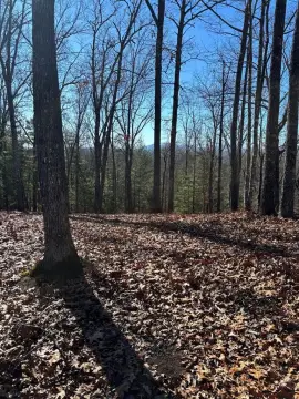 Vacant Land with Mountain Views