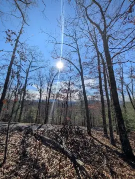 Gated Community Mountain Lot