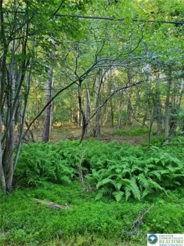 Pocono Land, No HOA Fees