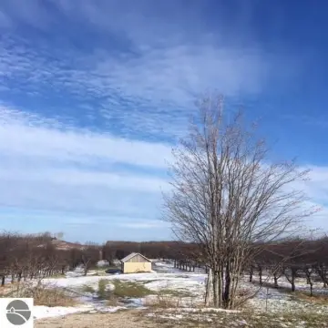 Cherry Orchard Farm