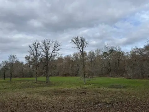 Elysian Fields Hunting Property