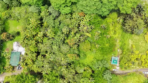 Residential Lot in Pahoa, HI