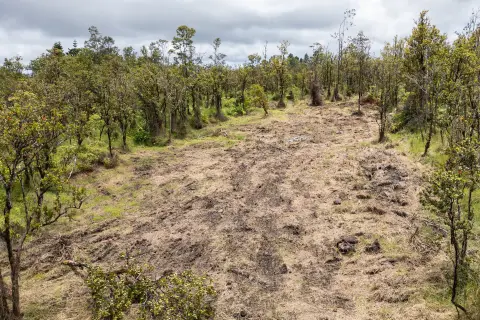 Partly Cleared Land Parcel