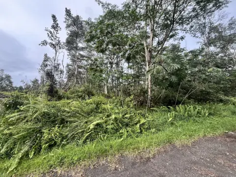 A-1A Land Parcel