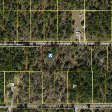Wooded Lot in Dunnellon, FL