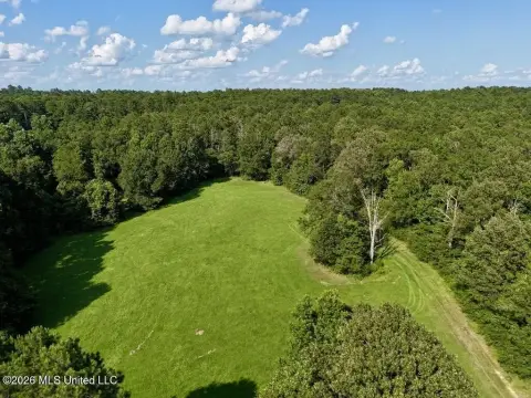 Wooded Hunting Tract With Creek