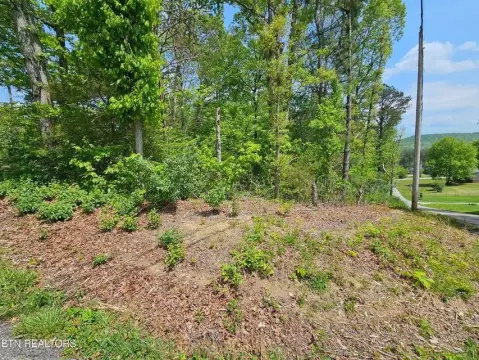 Corner Lot in Helenwood, TN