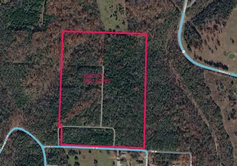 28 Acres Near Table Rock