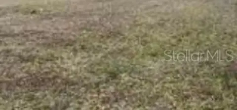 Land in Growing Winter Haven