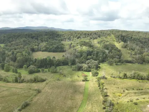 Wooded Hunting Land with Stream