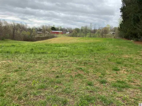 Unrestricted Fenced Land in Wickliffe