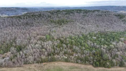 Wooded Acreage in Russellville, Arkansas
