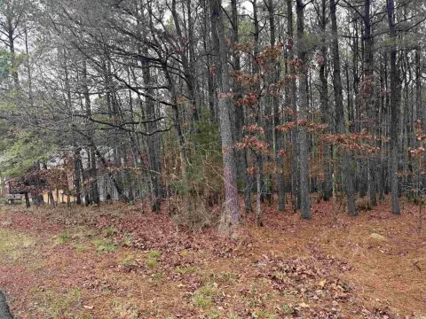 Residential Lot in Hot Springs