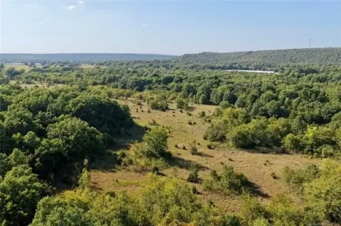 Wooded Hunting Land