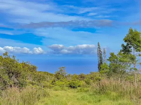 Hamakua Coast Land with Ocean Views