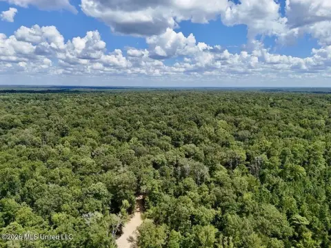Surveyed Hunting Land With Trails