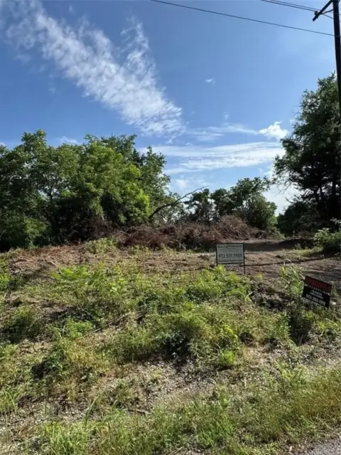 Wooded Land Near City Life