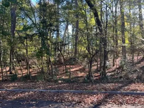 Residential Lot on Mockingbird Lane