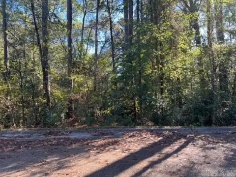Residential Lot on Mockingbird Lane