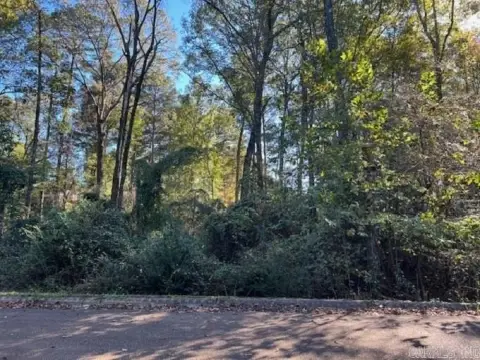 Residential Lot on Mockingbird Lane