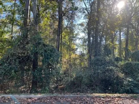 Residential Lot on Mockingbird Lane