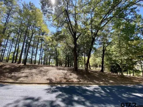 Residential Lot in Frankston, TX